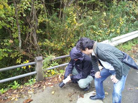 浪江町のホットスポット 浪江町のホットスポット