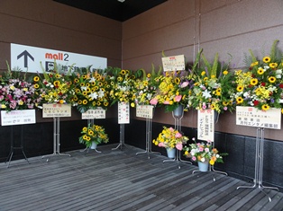 HKT48劇場前の花 HKT48劇場前の花