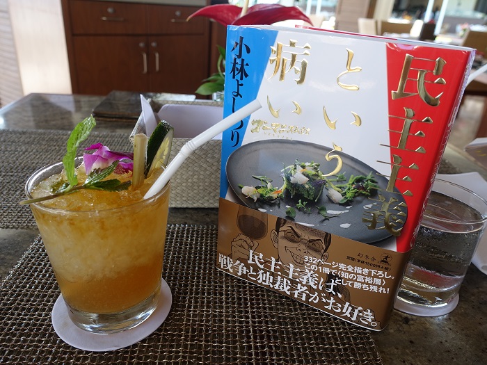 僕は『民主主義という病い』 僕は『民主主義という病い』